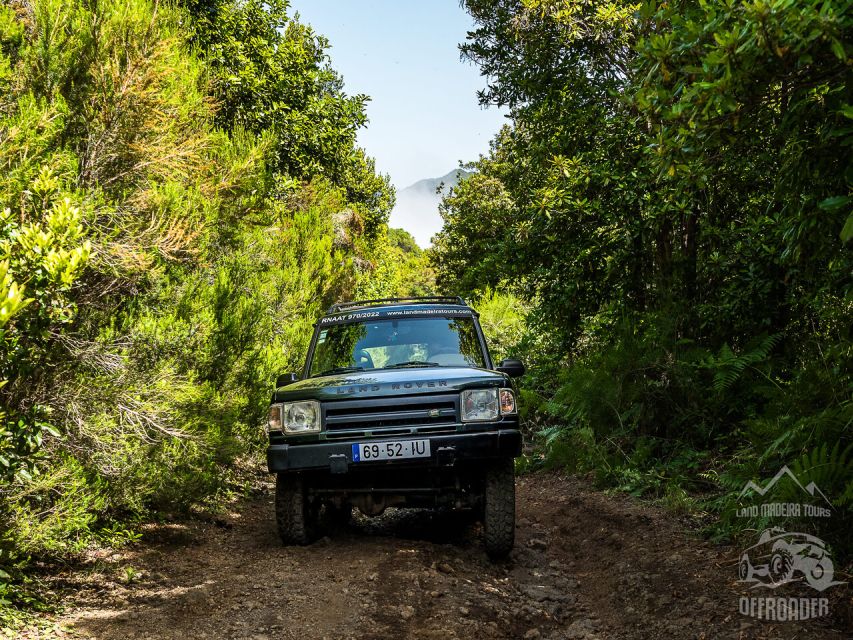 Madeira all day jeep nature tours. - Private Guide Energy: How Customization Can Change Your Day