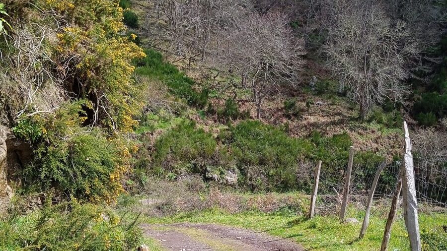 Madeira all day jeep nature tours. - How the Route Options Spread Across Madeira