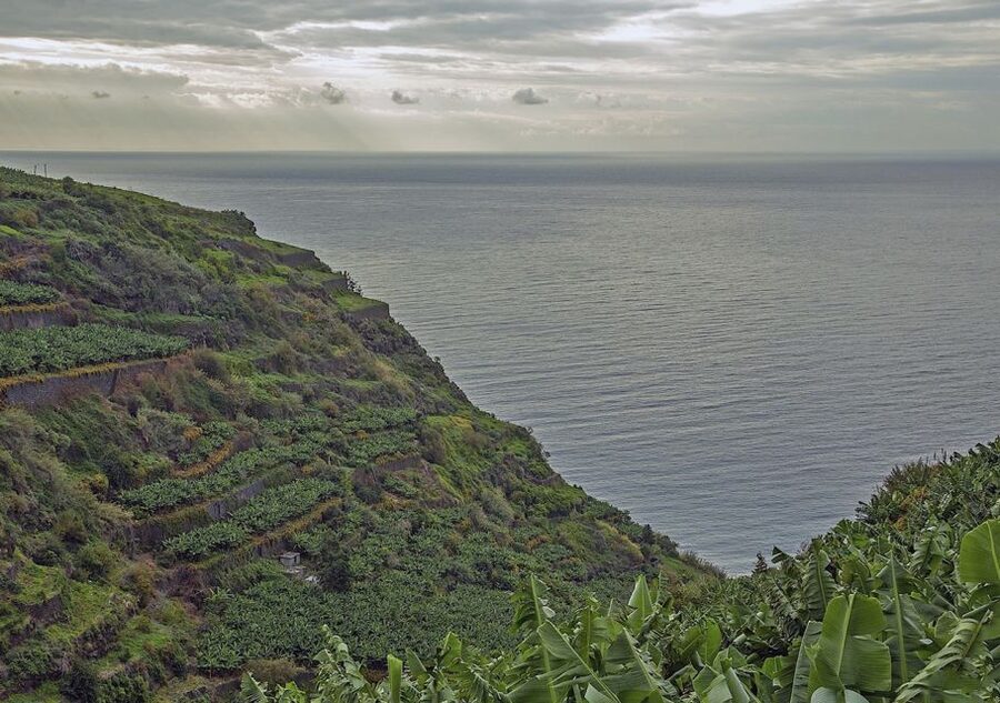 Madeira: Amazing West - Porto Moniz - Paul da Serra Plateau: Off-Road Time on Madeira’s High Ground