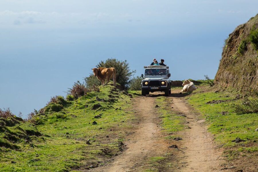 Madeira: Amazing West - Porto Moniz - Porto Moniz: Natural Saltwater Pools, Lunch Break, and Swim Time