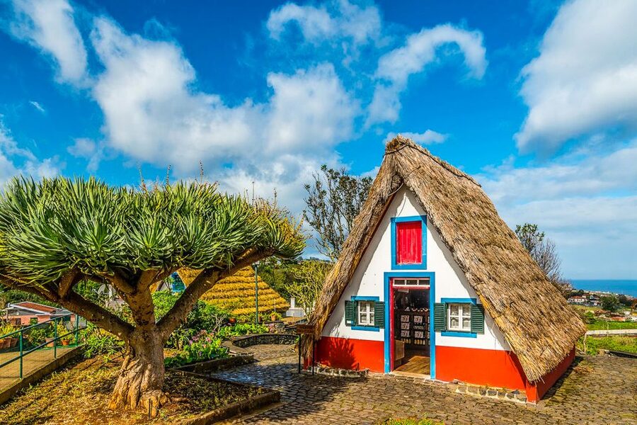 Madeira: Best of the East Tour from Funchal - Why Madeira’s East Feels So Different in One Long Day