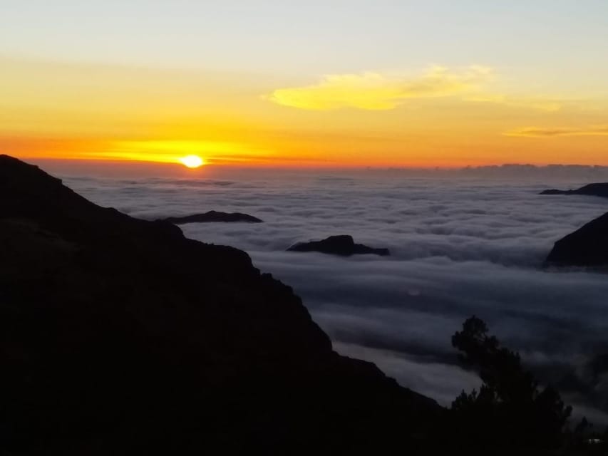 Madeira: Birdwatching - The Endemics - Key highlights at a glance