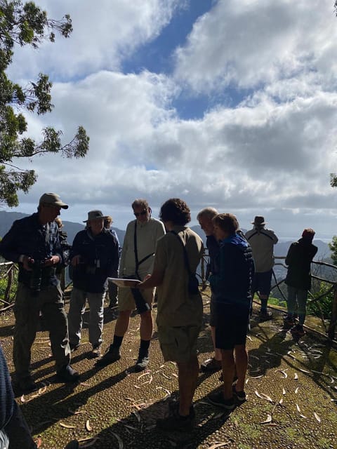 Madeira: Birdwatching - The Endemics - São Lourenço peninsula IBA: a strong setting for scanning