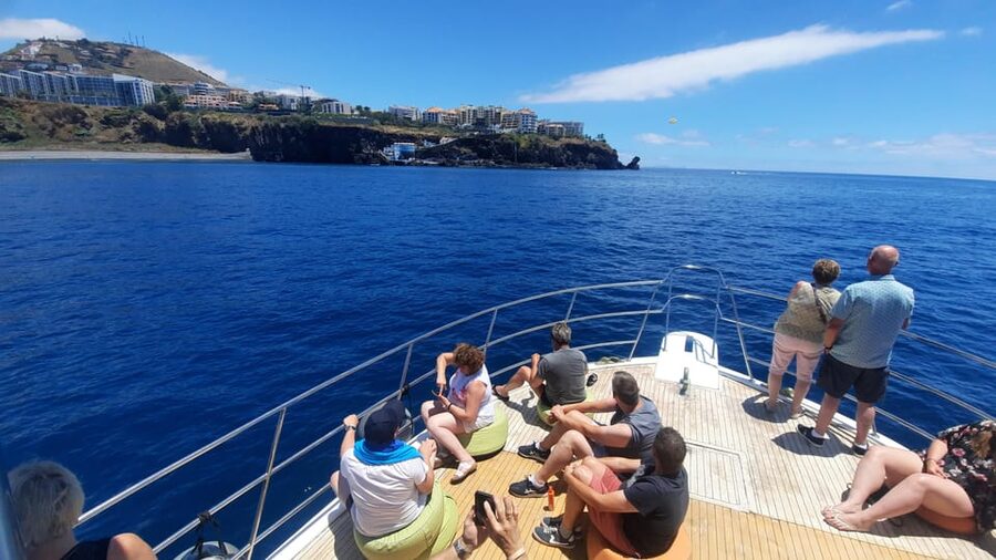 Madeira: Boat Trip with Lunch, Drinks, and Hotel Transfer - Lunch on the boat: Portuguese buffet comfort, served well