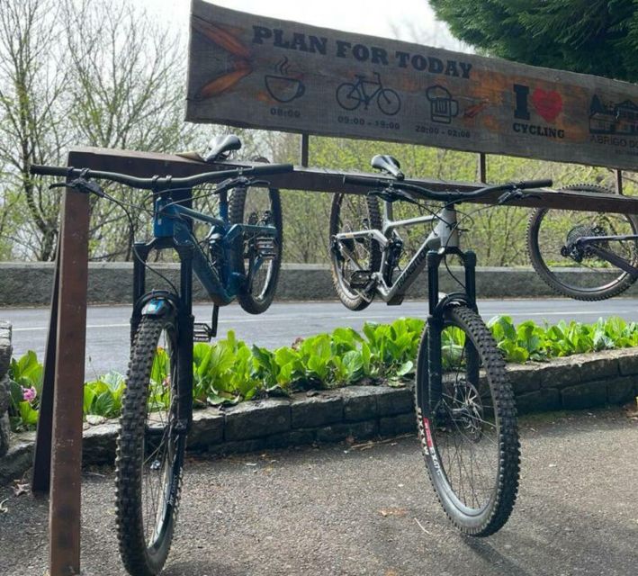 Madeira Botanical Levels Bike Tour – Scenic Trail Experience - Value and price: $94 for a guided full-suspension downhill day