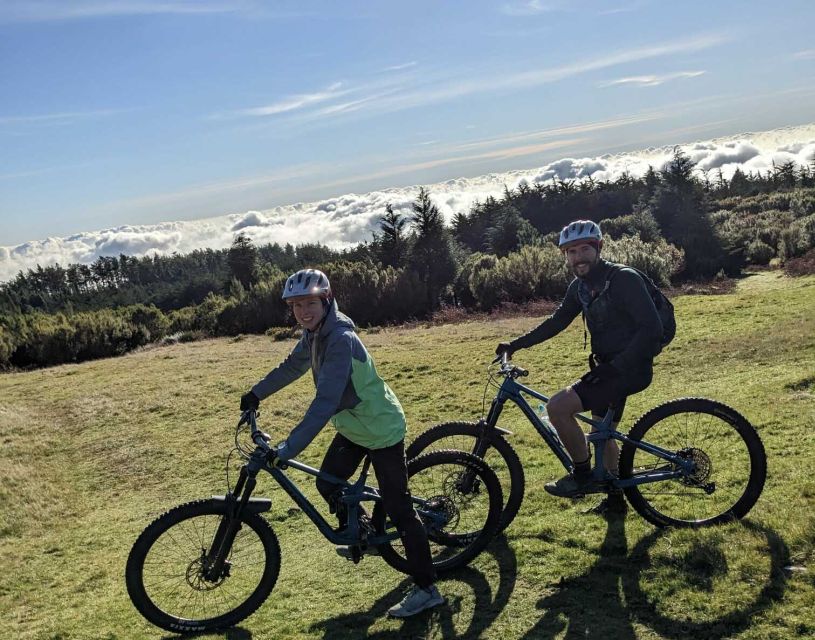 Madeira Botanical Levels Bike Tour – Scenic Trail Experience - Rolling along the Levada: forests, berries, and that Madeira microclimate feel