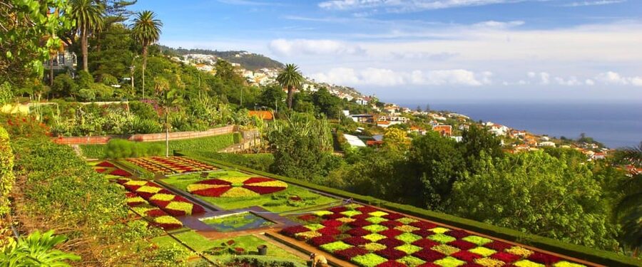 Madeira: Botanical, Monte Palace, and Palheiro Gardens - How the Timing and Tuk Tuk Transfers Really Feel