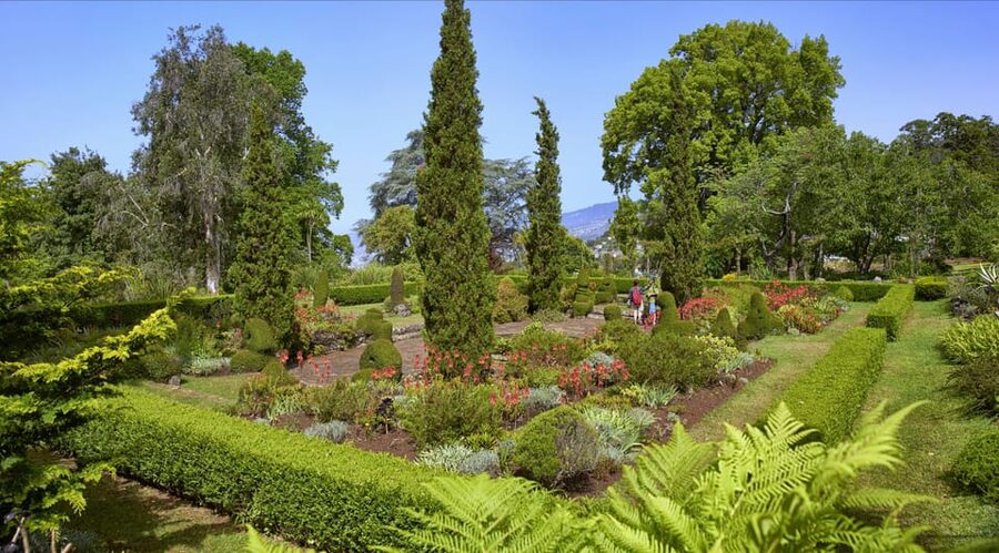 Madeira: Botanical, Monte Palace, and Palheiro Gardens - Price and Value: What $176 Covers and What Costs Extra