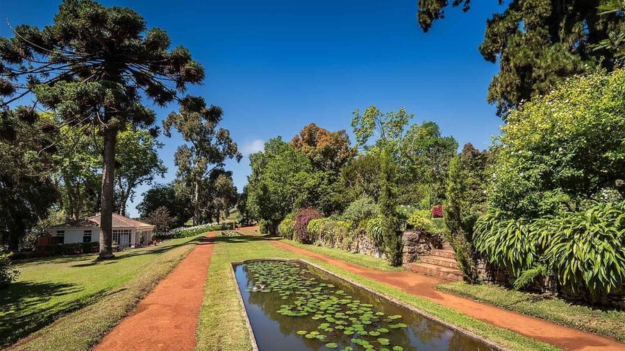 Madeira: Botanical, Monte Palace, and Palheiro Gardens - Who This Tour Fits Best