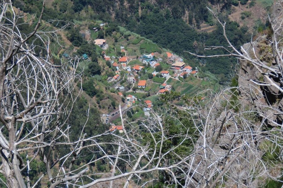 Madeira : Cabo Girao and Camara de Lobo 4WD half-day Tour - Should you book this tour?