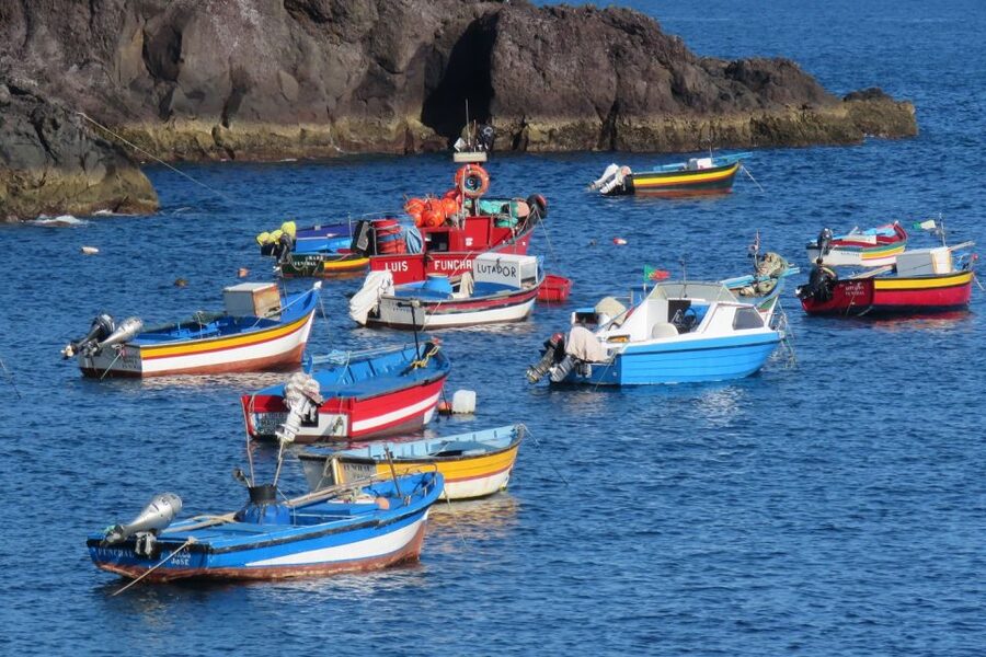 Madeira : Cabo Girao and Camara de Lobo 4WD half-day Tour - Câmara de Lobos, Churchill’s inspiration, and sea-town atmosphere