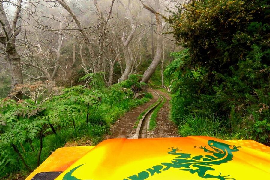 Madeira : Cabo Girao and Camara de Lobo 4WD half-day Tour - Guide quality, languages, and what to do when plans meet reality