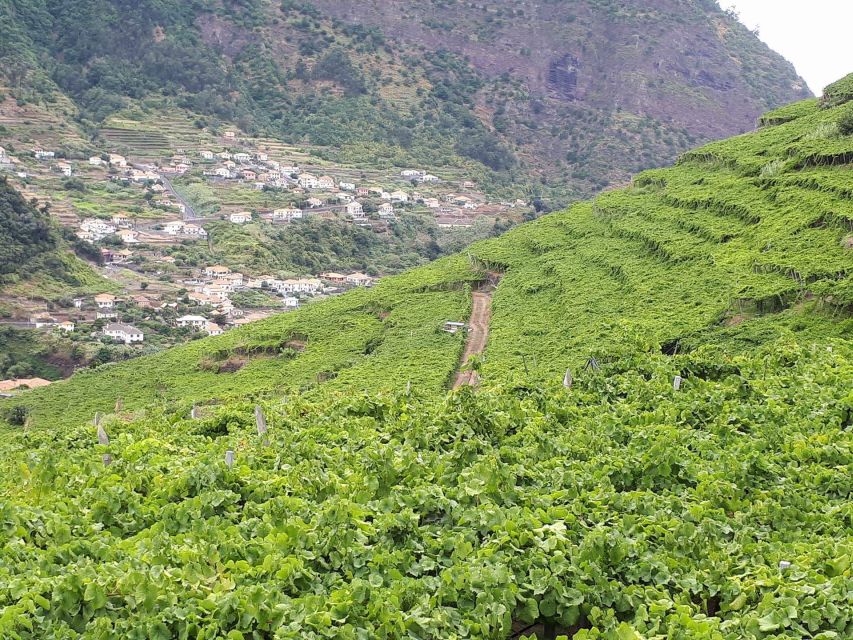 Madeira: Cabo Girão, Wine Tasting, & Serra d'Água Jeep Tour - From Funchal pickup to the first big view over the Atlantic