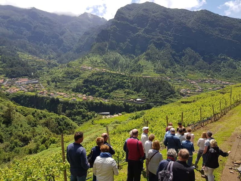Madeira: Cabo Girão, Wines Experience and Dolphins Watching - FAQ