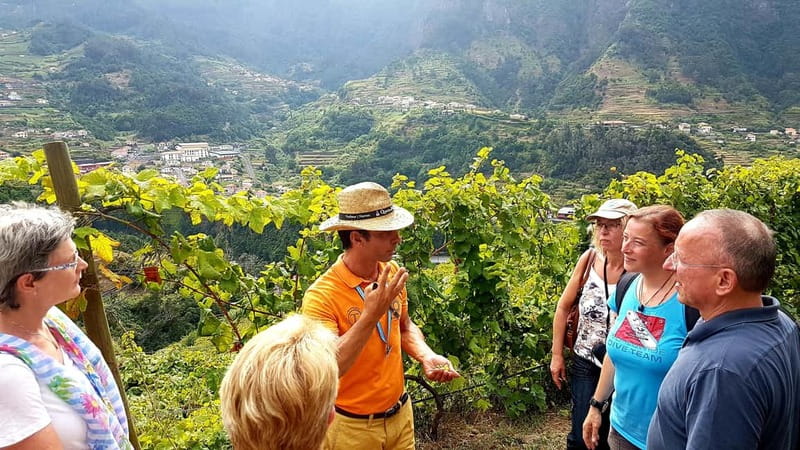 Madeira: Cabo Girão, Wines Experience and Dolphins Watching - What’s Included, What Isn’t, and the Value of Paying $124