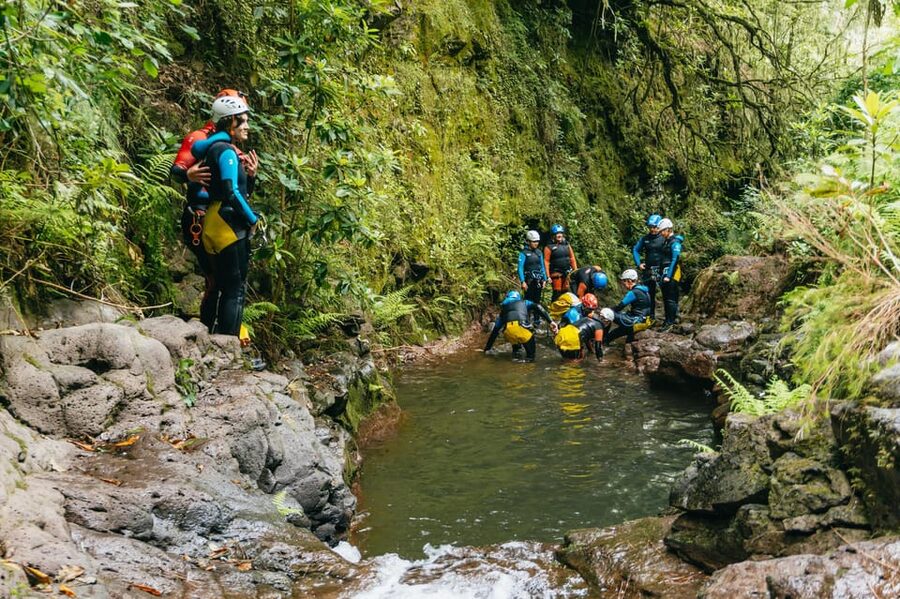Madeira Canyoning Beginners – Easy & Fun Waterfall Adventure - Green canyon details, endemic plants, and the UNESCO World Heritage connection