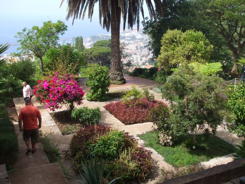 Madeira: Customized 3, 4 or 6-Hour Tour - Picking Your Madeira Route, Funchal to the Cliffs