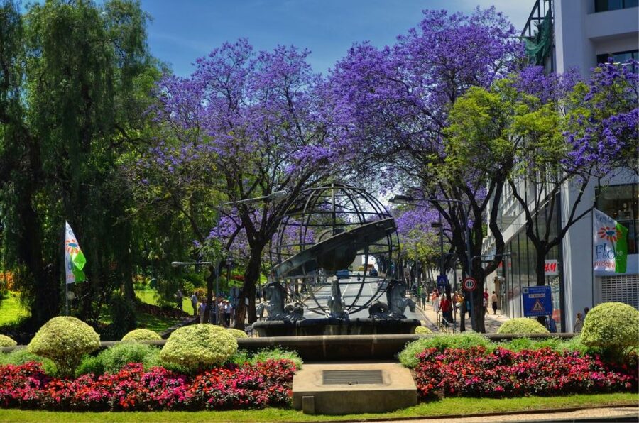 Madeira: Customized 3, 4 or 6-Hour Tour - The Madeira Botanical Garden: Clean, Guided, and Practical