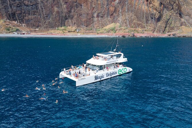 Madeira Dolphin and Whale Watching on a Ecological Catamaran - Key things that make this cruise worth your time