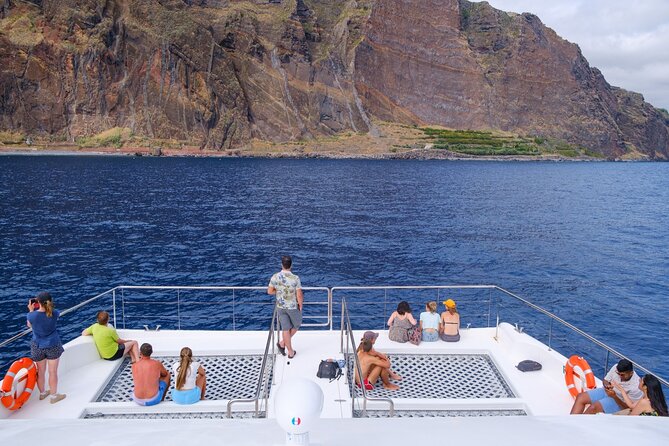 Madeira Dolphin and Whale Watching on a Ecological Catamaran - Where You Board in Funchal, and What That Means for Your Day