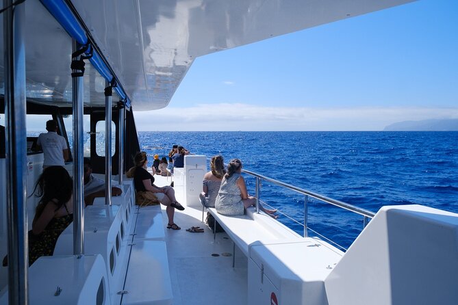 Madeira Dolphin and Whale Watching on a Ecological Catamaran - How the Guides Turn a Boat Ride Into Real Learning