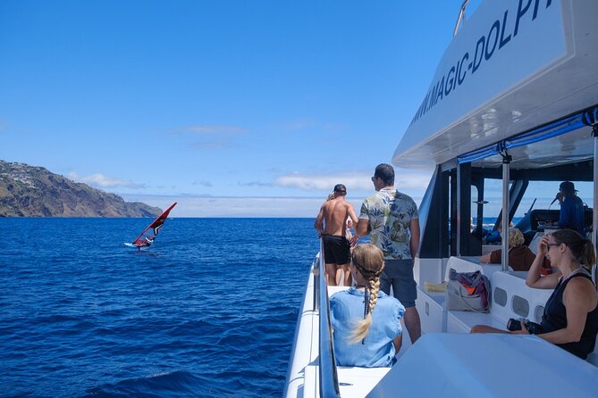 Madeira Dolphin and Whale Watching on a Ecological Catamaran - Price and Value: Is $42.33 Worth It for 3 Hours?