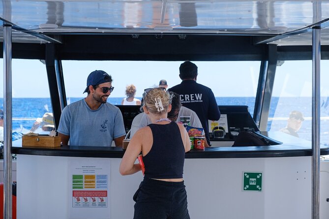 Madeira Dolphin and Whale Watching on a Ecological Catamaran - The Wildlife Part: Dolphins, Pilot Whales, and Other Possible Encounters
