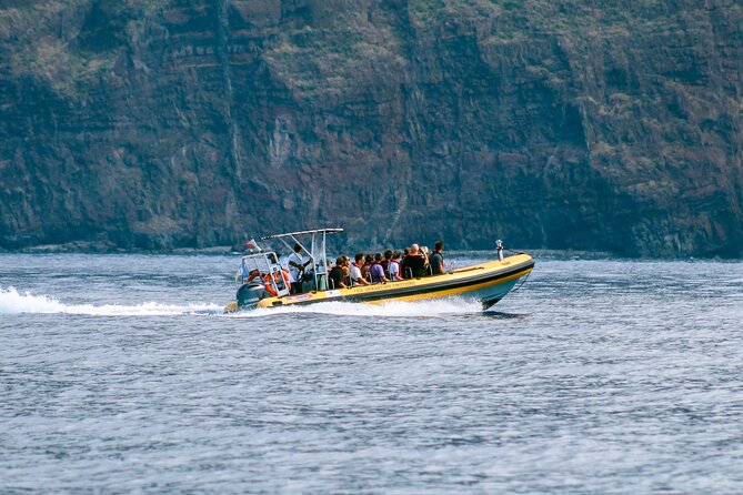Madeira Dolphin & Whale Watching Tour - How the crew finds animals fast, and why safety matters
