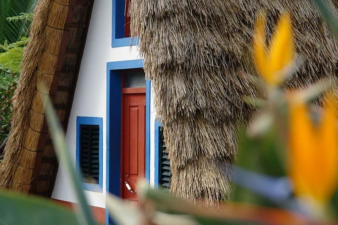 Madeira East Island Tour with Levada Walk and Lunch - Why Madeira’s East Coast Feels Like a Different Island