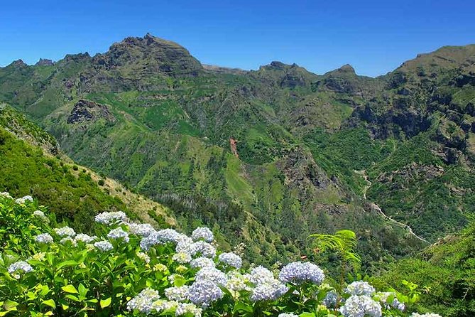 Madeira East Tour from Funchal - Ribeiro Frio and the Levada Starting Area: Trout Pools and Old Forest Feel