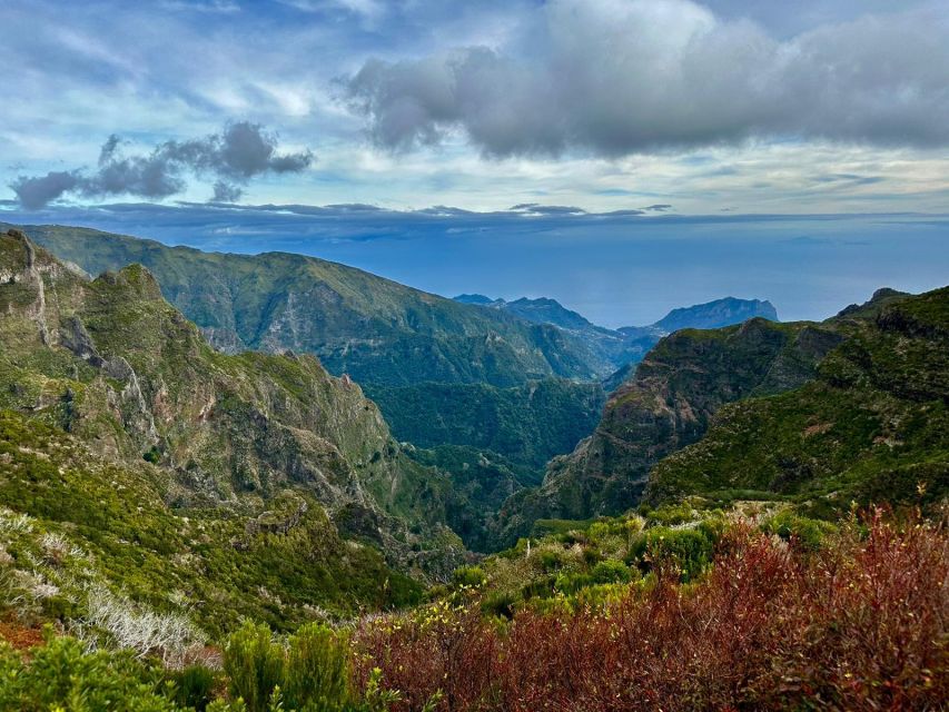 Madeira : East Tour - Santana North Side - Ribeiro Frio Forest Park: trout nurseries and Laurissilva you can actually recognize
