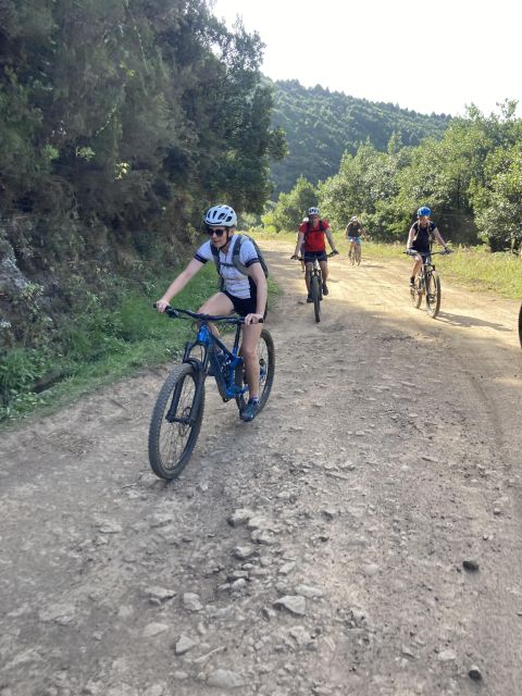 Madeira Easy Levada Biking Tour – Scenic & Relaxed - Key highlights you’ll feel fast