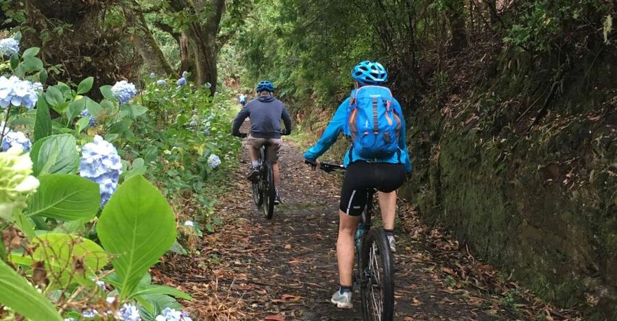 Madeira Easy Levada Biking Tour – Scenic & Relaxed - UNESCO laurel forest, giant ferns, and ocean drop-offs