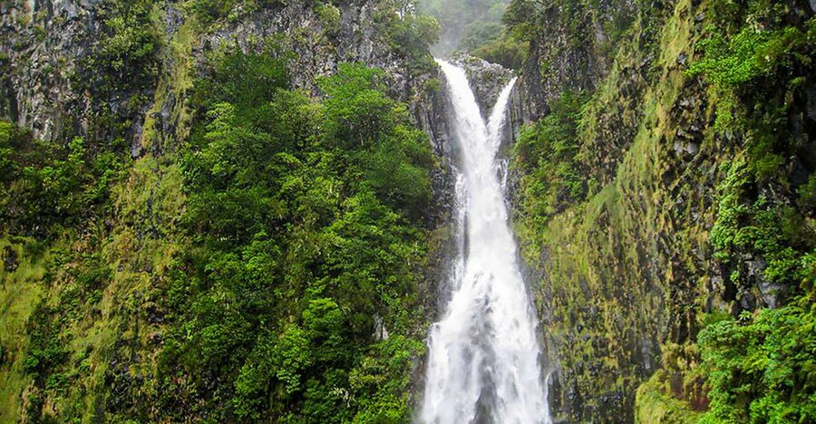 Madeira: Enjoy a Guided Levada Walk in the Rabaçal Valley - Key points to know before you go