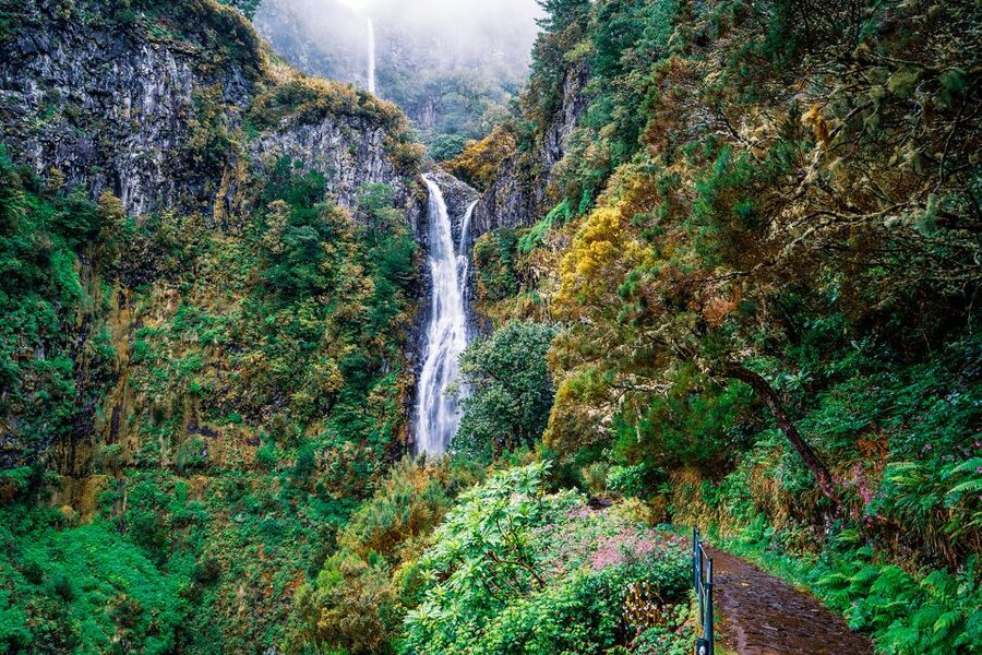 Madeira: Enjoy a Guided Levada Walk in the Rabaçal Valley - Why this levada walk is such a good Madeira day