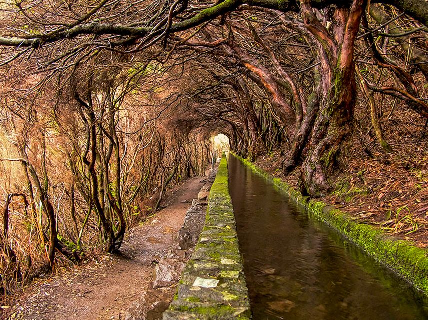 Madeira: Enjoy a Guided Levada Walk in the Rabaçal Valley - The Paul da Serra descent and the Levada do Risco waterfall moment