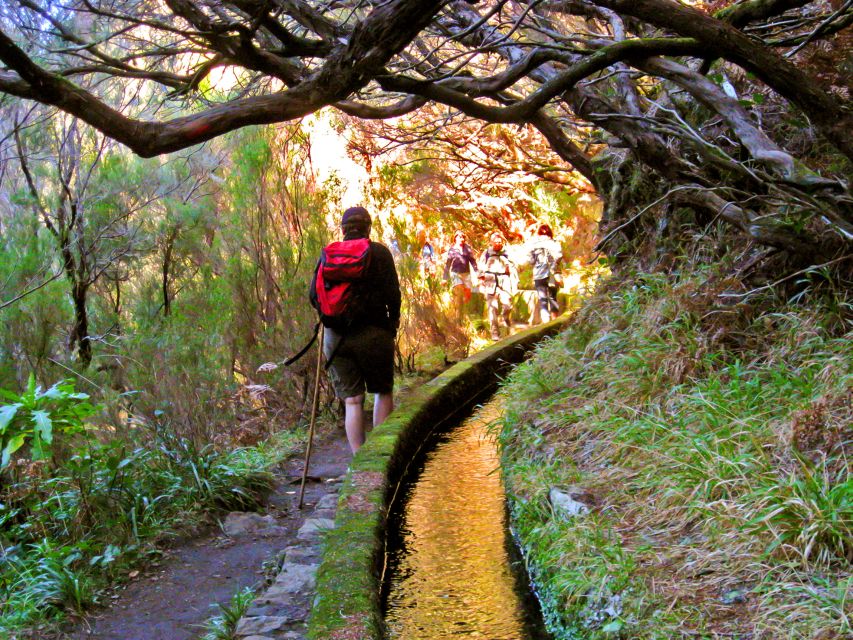 Madeira: Enjoy a Guided Levada Walk in the Rabaçal Valley - Moorland to cliff country: how the walk builds toward the main payoff