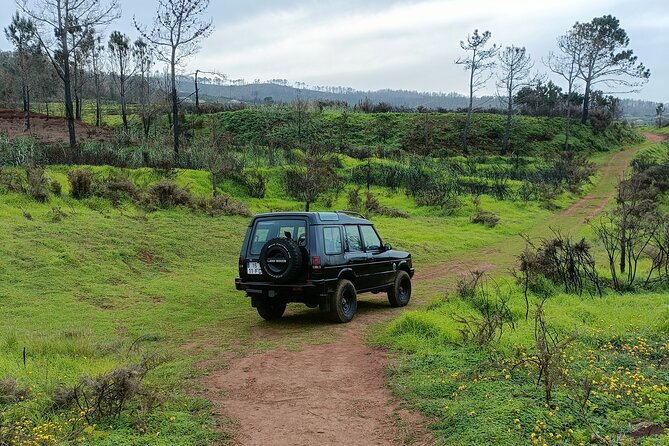 Madeira: Experiência 4WD Skywalk para Seixal Porto Moniz, Fanal - Key highlights you will feel right away