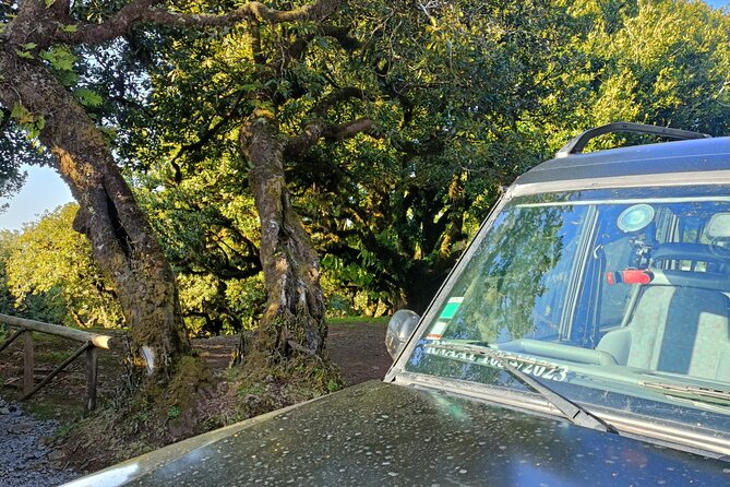 Madeira: Experiência 4WD Skywalk para Seixal Porto Moniz, Fanal - Ponta do Sol: small-town stop and local landmarks