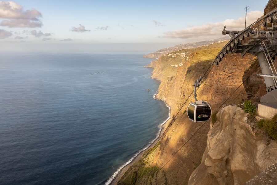 Madeira: Faja dos Padres Private Sightseeing Tour - Key points I think you’ll care about