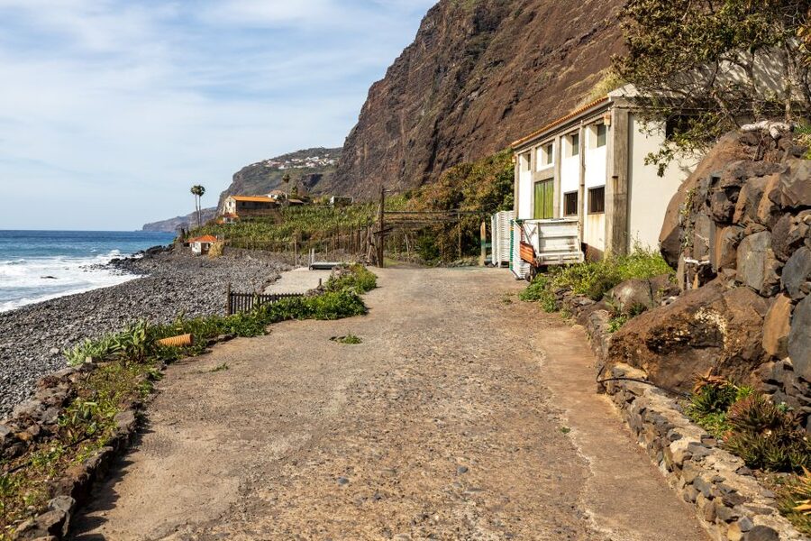 Madeira: Faja dos Padres Private Sightseeing Tour - Walking among crops: bananas, sugarcane, and tropical fruit in real time