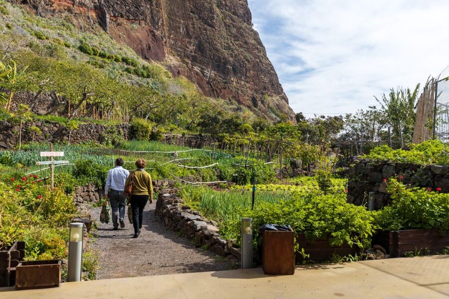 Madeira: Faja dos Padres Private Sightseeing Tour - Pebble beach and cottages: what you can do with free time down below