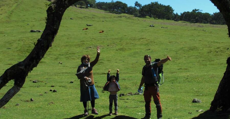 Madeira: Fanal Forest Guided Hiking Tour - Arriving at Fanal Forest and Getting Oriented Fast