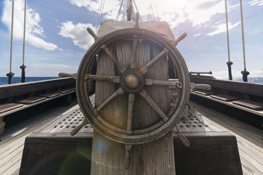Madeira: Flag Ship Tour aboard Santa Maria de Colombo - Dolphins and Whales: How Likely Is It and What You Can Do