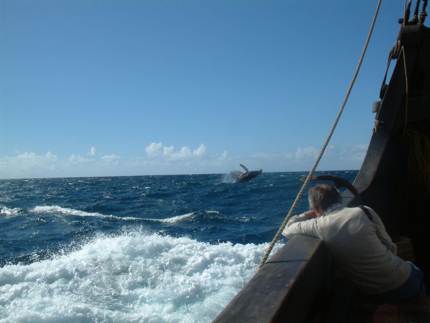 Madeira: Flag Ship Tour aboard Santa Maria de Colombo - Crew and Captain: The Human Part You’ll Actually Feel