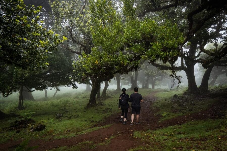 Madeira : Full Day Adult-only west 4x4 Tour - Quick hits before you go