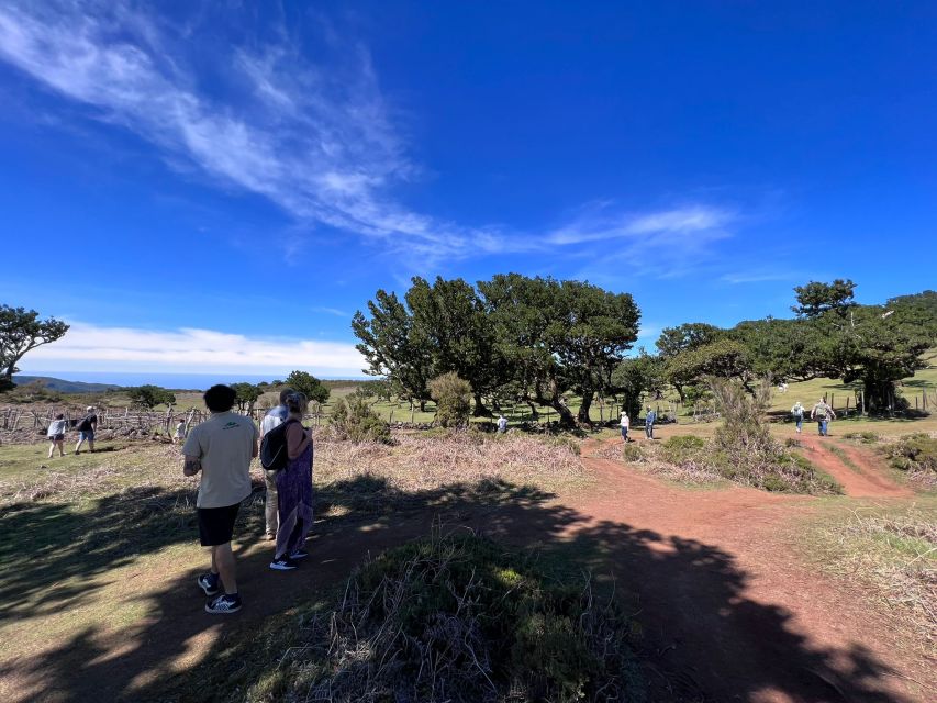 Madeira: Full-Day Jeep Tour with Guide and Pickup - Price and what $78 really covers, plus the couple extra costs