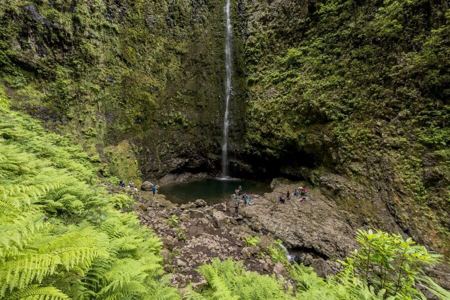 Madeira: Full-Day Laurel Forest Guided Walking Tour - Views over villages below: where the island’s geography becomes personal
