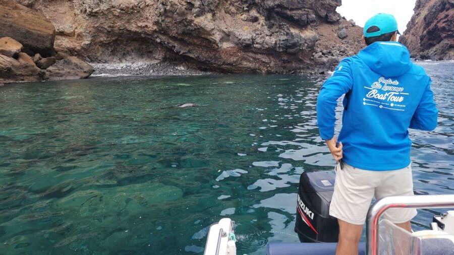 Madeira: Full-Day of Activities in Ponta de São Lourenço - The lunch break: bolo do caco sandwiches and a chance to reset
