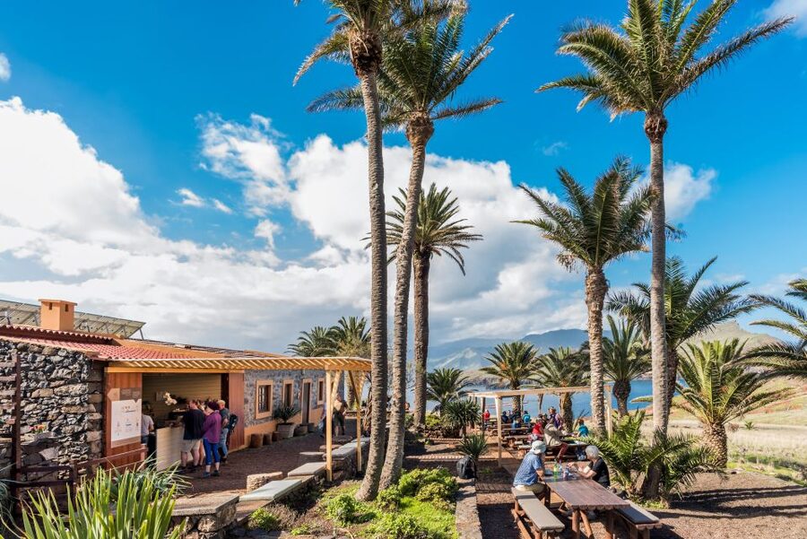 Madeira: Full-Day of Activities in Ponta de São Lourenço - Small-group logistics that make the experience feel smoother